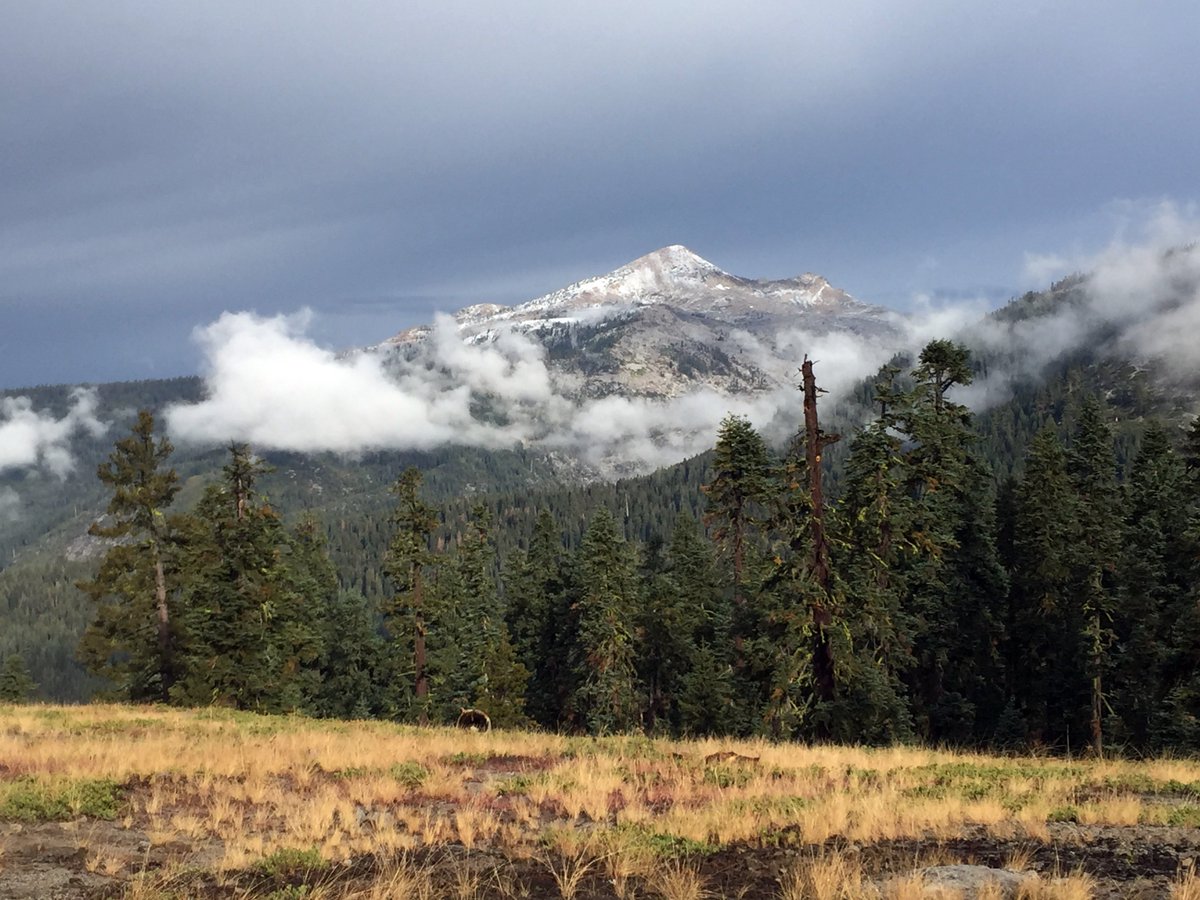 Sierra-at-Tahoe tweet media