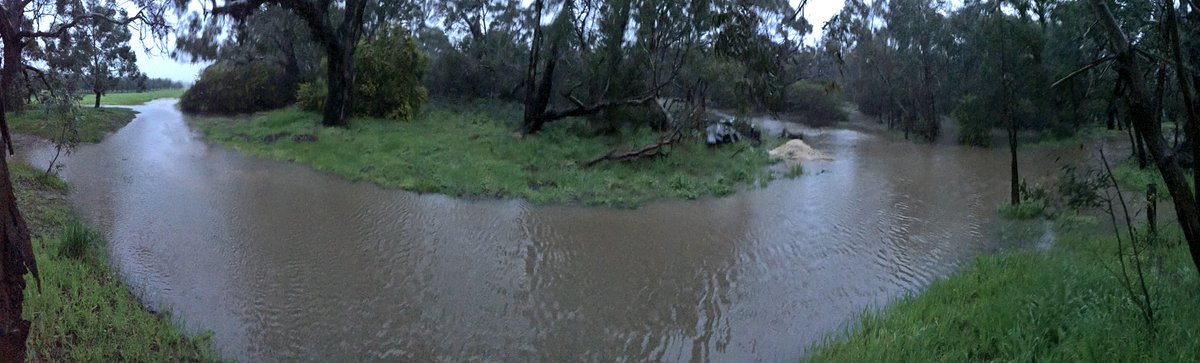 TorquayR's tweet photo. When your driveway becomes a river!#freshwatercreekcottages https://t.co/nr0xVTYfFN @GT_GeelongAddy @surfcoastnotes https://t.co/Li7Dc5gZNE