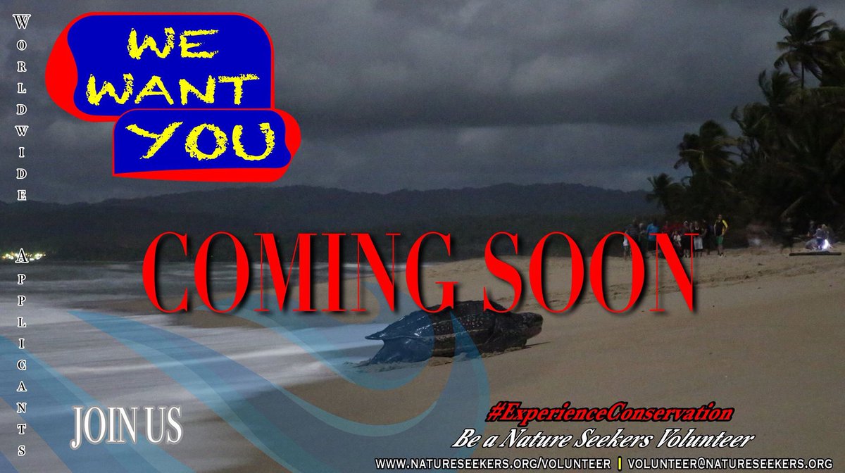 Tntapproved's tweet image. Be #NatureSeeker # volunteer 

Coming soon! Accepting worldwide applicants. #Turtles2017 #ExperienceConservation