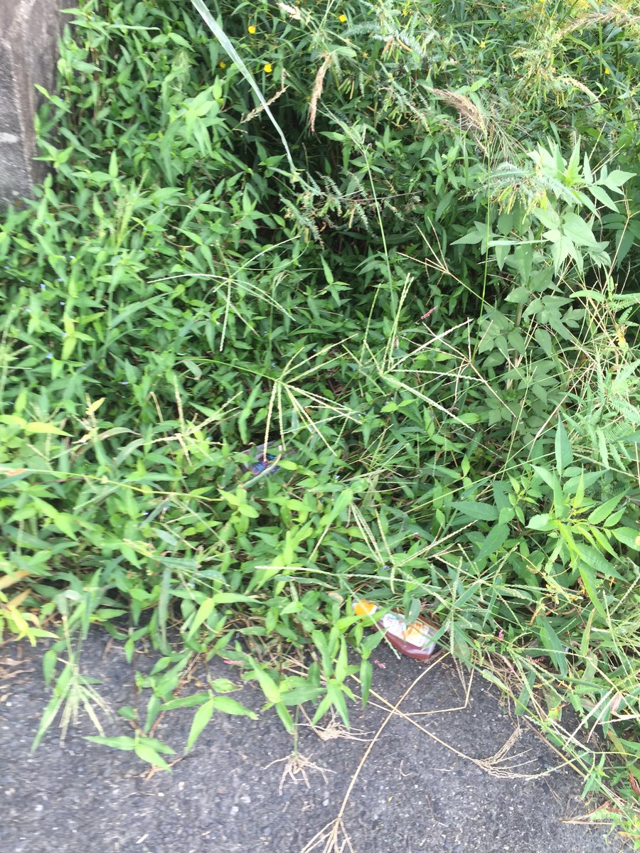 愛知県岩倉市 Part172 無断転載禁止 C 2ch Net 愛知県岩倉市 Part172 無断転載禁止 C 2ch Net