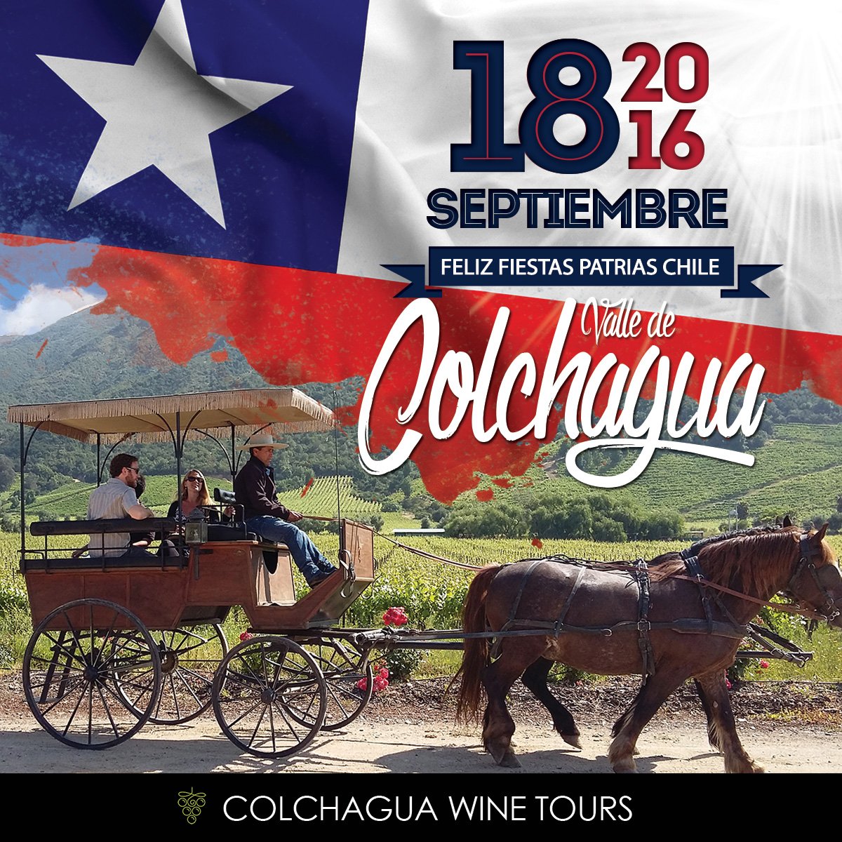 ColchaguaTours's tweet photo. Happy Independence Day #Chile Sept 18th - Celebrate this Sunday with a nice bottle of Chilean #wine. #Colchagua https://t.co/9YrXk9BKJt