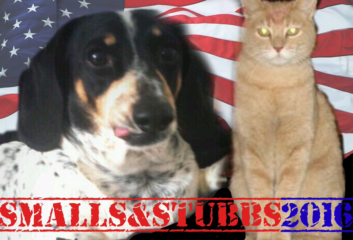 PiePeeTee's tweet photo. @MayorStubbs. Will you be my running mate? https://t.co/Mz5aIDjjd6