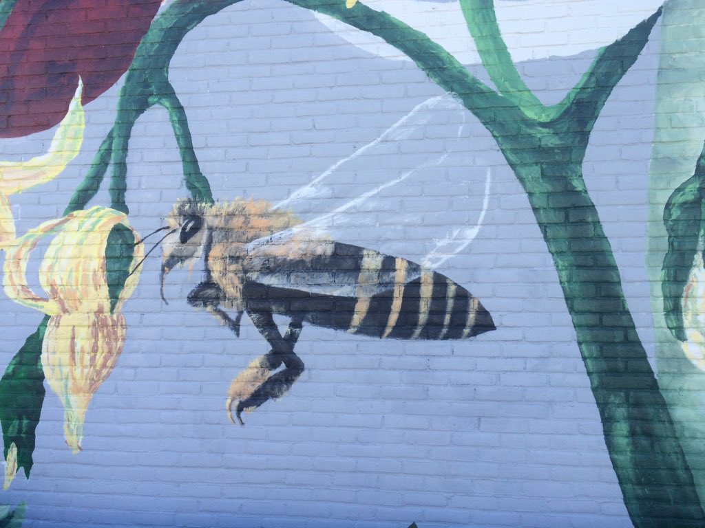 JTORIGINALS's tweet photo. We finally finished the mural thx to ALTernative &amp; Victory Ministries #hopeblooms #lifeislabyrinth https://t.co/LxyhY31dfP