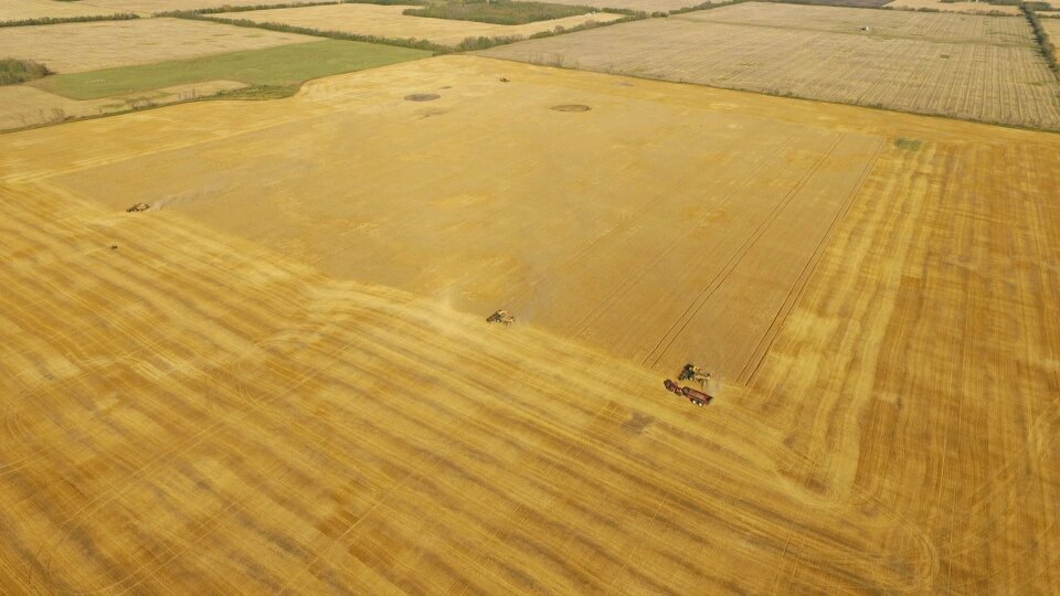 mmotiuk's tweet photo. Harvest is in full swing for the Smoky Lake Colony! #farming #harvest16 https://t.co/MQapXOEq2O