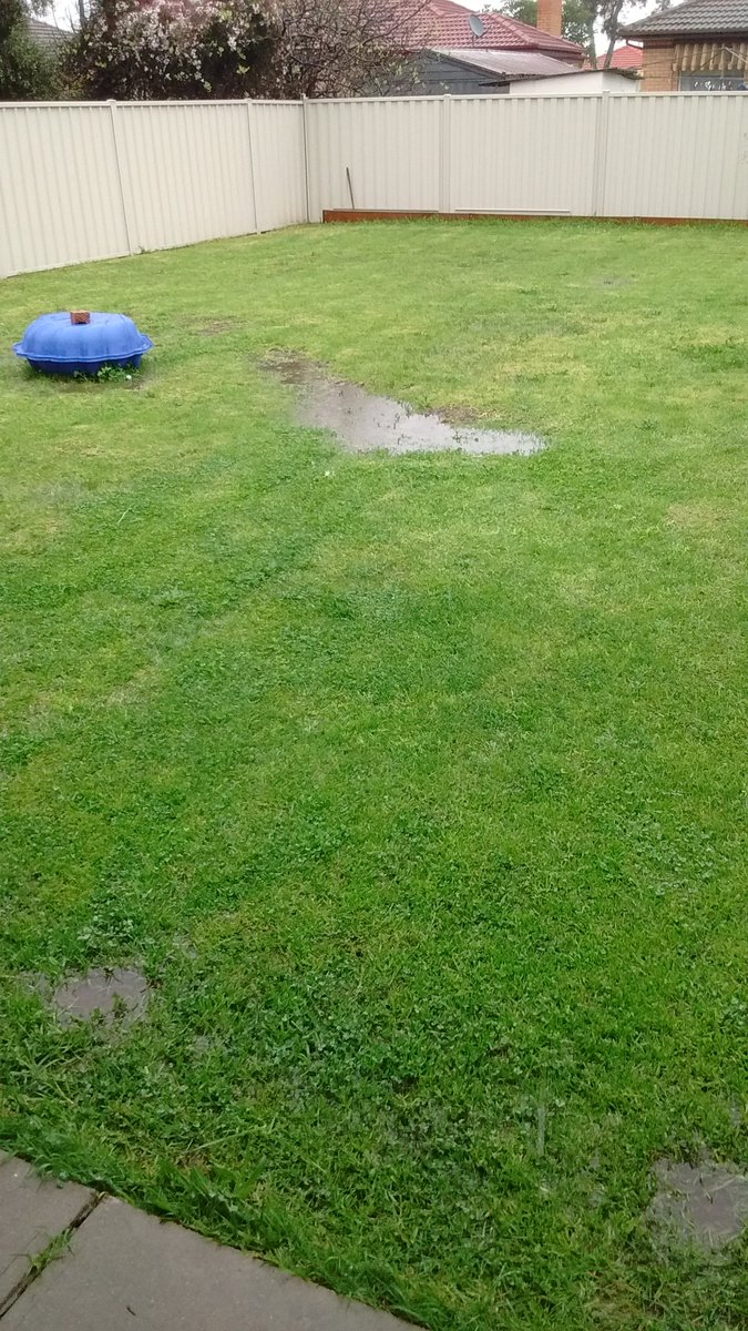 Ladwig_AUS's tweet photo. Dauerregen, da steht sogar der Garten unter Wasser. Hatten wir bisher auch noch nie hier in Melbourne. https://t.co/2aQCbLBOUC