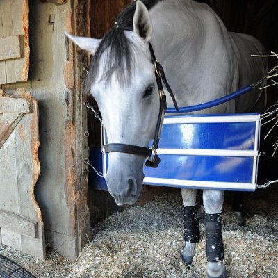 <a href="/Jubacolt/">Juba (the Gray)</a> Retires from Racing, not from our Hearts #TaylorMountain #CentennialFarms ilovetbracing.com/2016/09/13/jub…