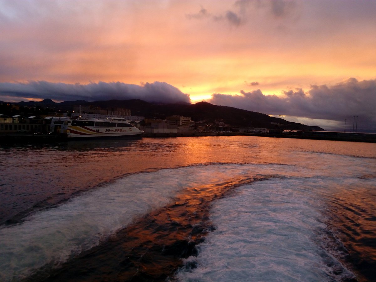 Dame en noir. tweet media