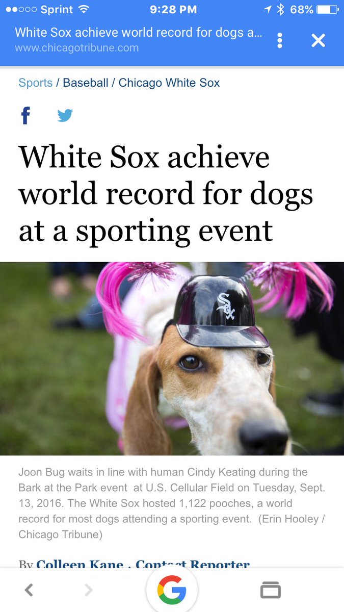 ellenvavra's tweet photo. Stoli and Stella are in the Guinness Book of World Records #nbd #yesitis #bigdeal https://t.co/Gd6UnhK4m6