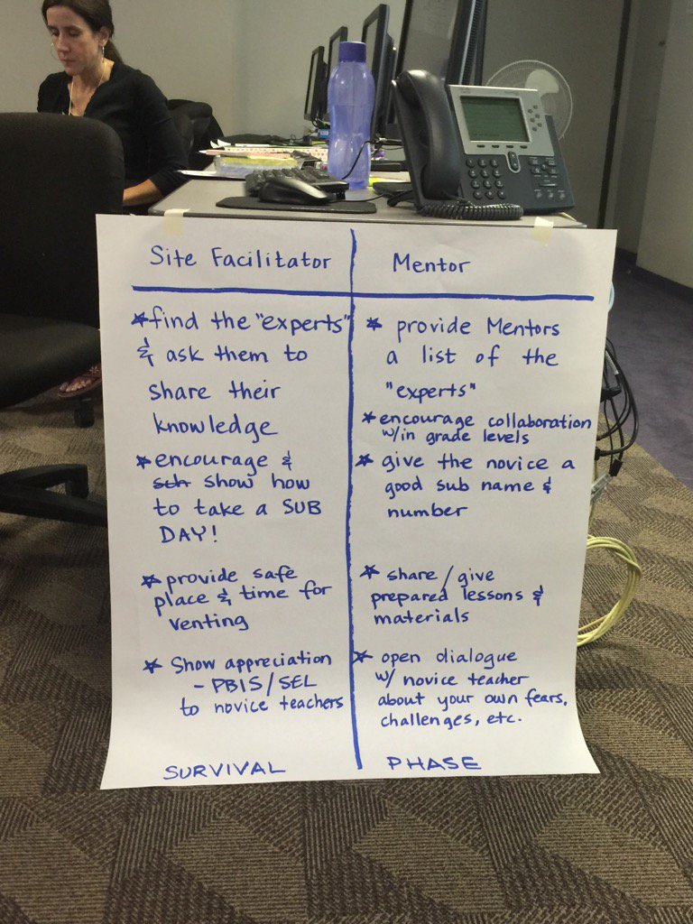 Site Facilitators come together to share ideas for supporting novice teachers.