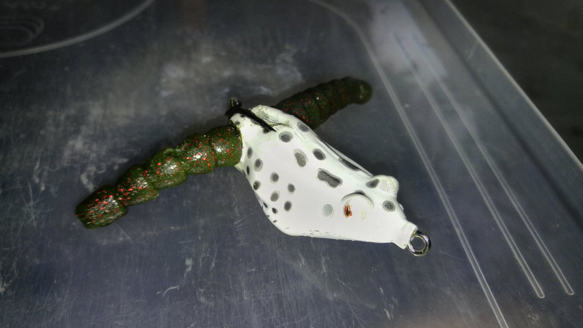 sptmnky's tweet photo. When the fish only have a taste for frog legs, you gotta improvise. #exostick @BioSpawnLures #bass #fishing https://t.co/88WM99xoKh