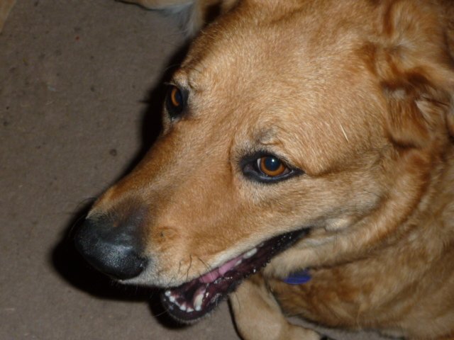 bookiej3615's tweet image. See the difference. #ONEdifference #FreeSample landing.smiley360.com/landingpage147…