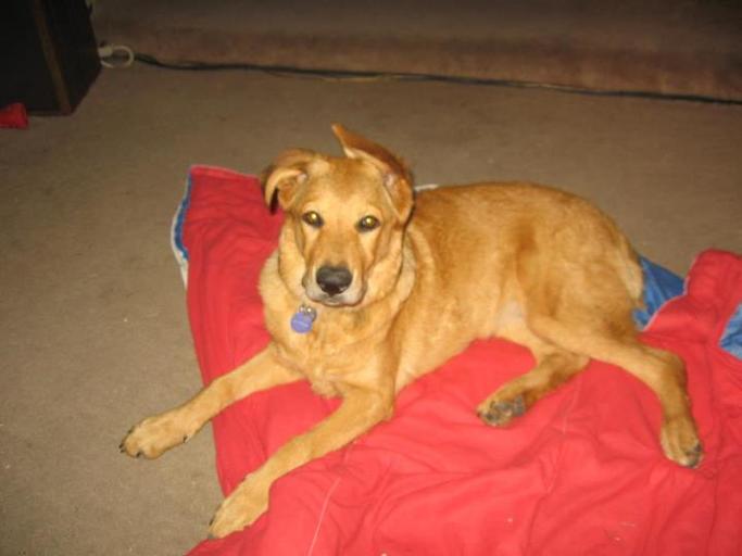 bookiej3615's tweet image. See the difference. #ONEdifference #FreeSample landing.smiley360.com/landingpage147…