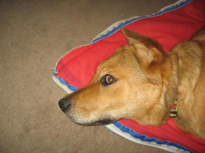 bookiej3615's tweet image. See the difference. #ONEdifference #FreeSample landing.smiley360.com/landingpage147…