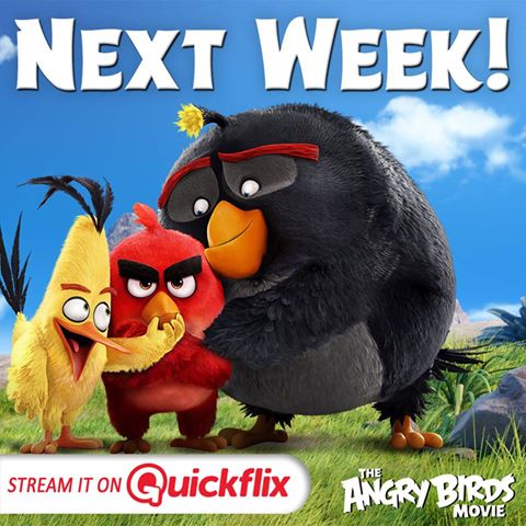 Quickflix tweet picture