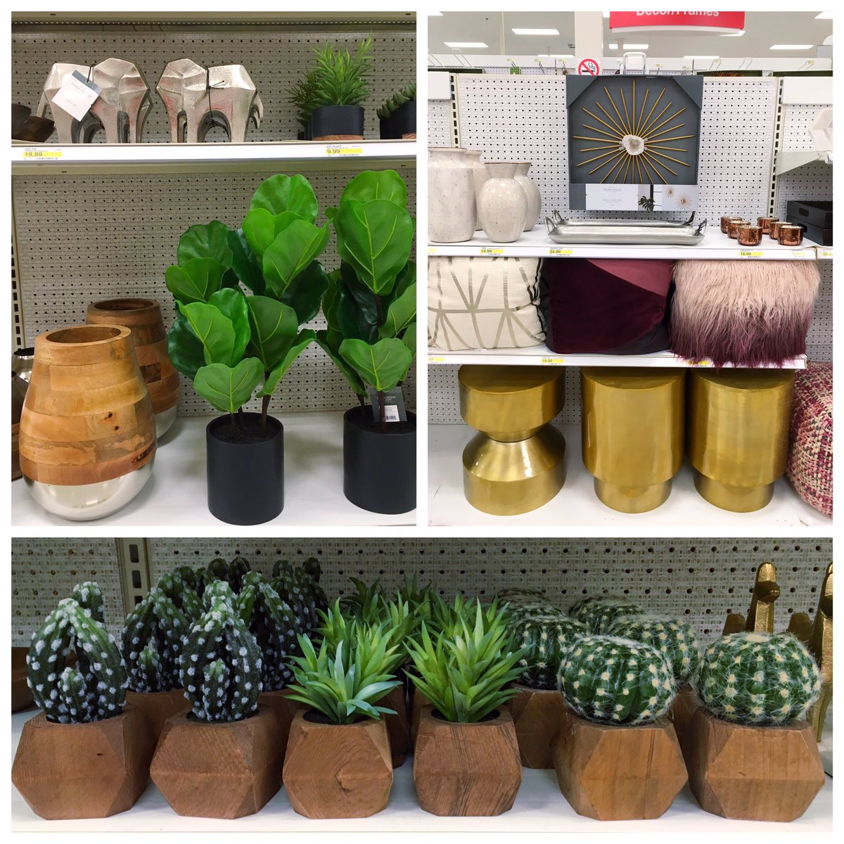 🍁 New Trend Runs, New Plants 🌱🌾🌱 #T1542 #VMTL 🍁 Fall Home Decor Part 2 🏡 <a href="/beeson_scott/">Scott Beeson</a> <a href="/SamanthaVMML/">Samantha Snow</a> <a href="/djagatx/">Dhruv Jagtiani</a>