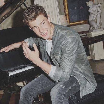 chaura13's tweet photo. #ShawnMendes https://t.co/kLKldujGXr