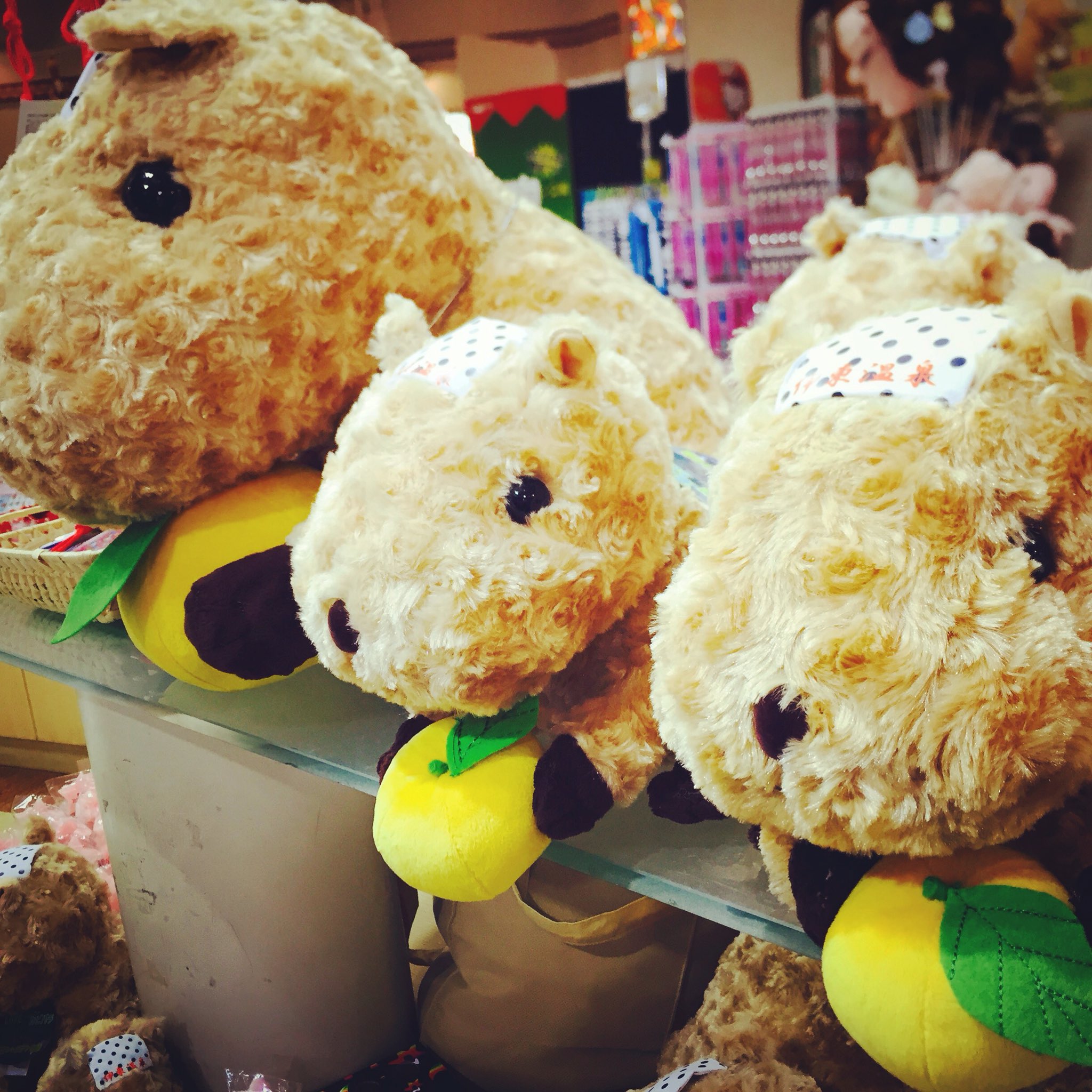 伊豆シャボテン公園 カピバラ ぬいぐるみ М LOVE湯 伊東温泉