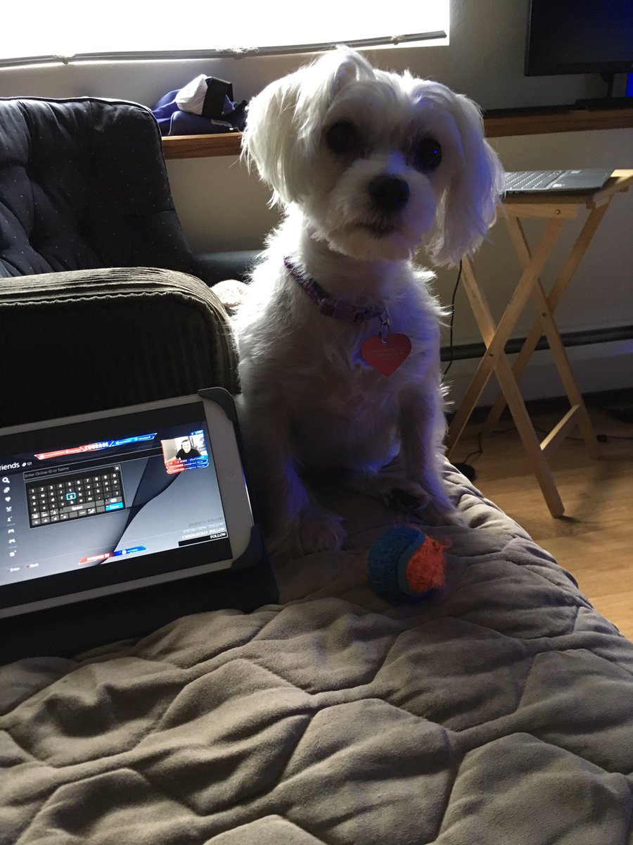 clark_ackerman's tweet image. We both love @CouRageJD streams 😊