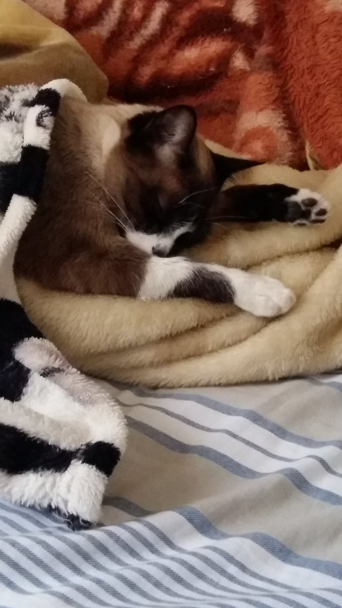 LeeLilica's tweet photo. Volta pra mim. https://t.co/dWo9bIjxec