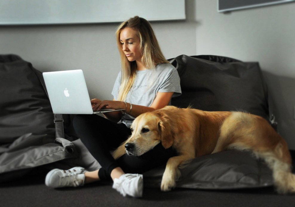 MeetnWork's tweet photo. create a life you love #goals #workingspace #ffm #work #meetnwork #dogsoftwitter #goodmorning #motivation https://t.co/5slPnlG7uw