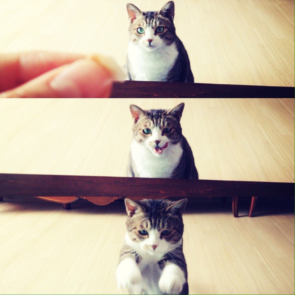 instagram.com/p/BKU52Dogow5/