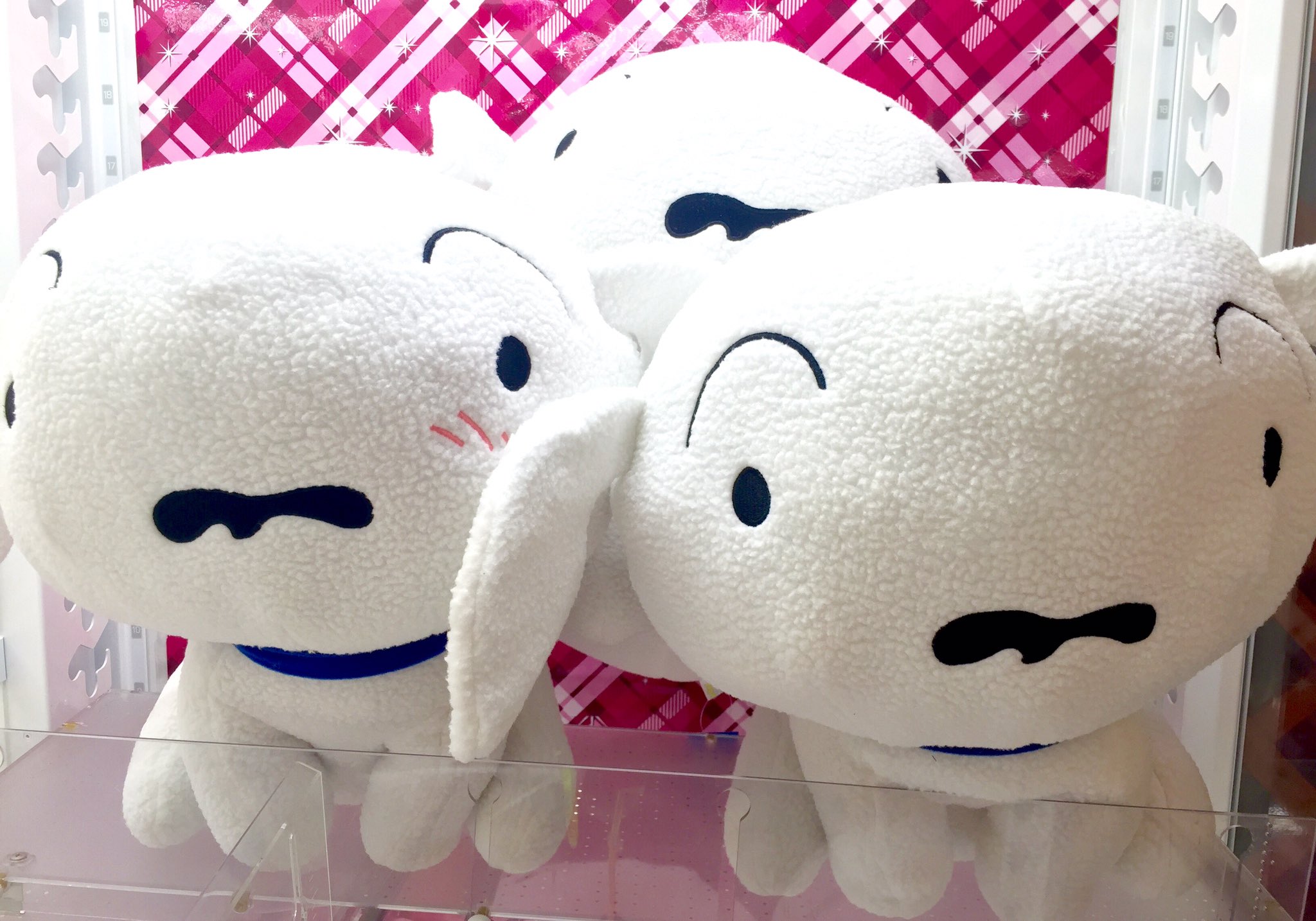 O Xrhsths アップル島田店 Sto Twitter 毎回大人気のクレヨンしんちゃんのシロぬいぐるみが大きなサイズで登場 今回のシロは青い首輪 ちょっと照れ気味 赤い首輪と3種類ございます Ufoキャッチャー クレヨンしんちゃん T Co 4k8vnpm1xa Twitter