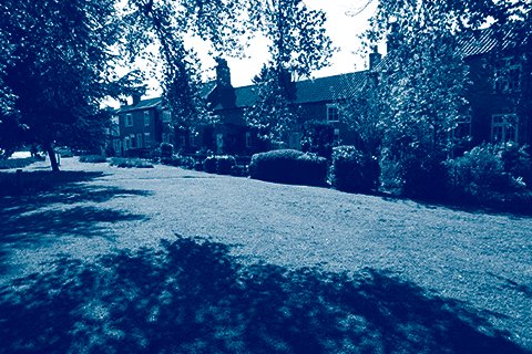 ReedsRainsHelp's tweet photo. How much could your garden be worth? 🌲 https://t.co/aHSH0DOswf https://t.co/iaSptutr7J