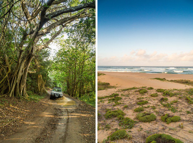 GetawayMagazine's tweet photo. We discovered coastal forests, crystal clear water, and remote beaches in northern KZN: https://t.co/PiCGiezwYo https://t.co/tpItigMyrt