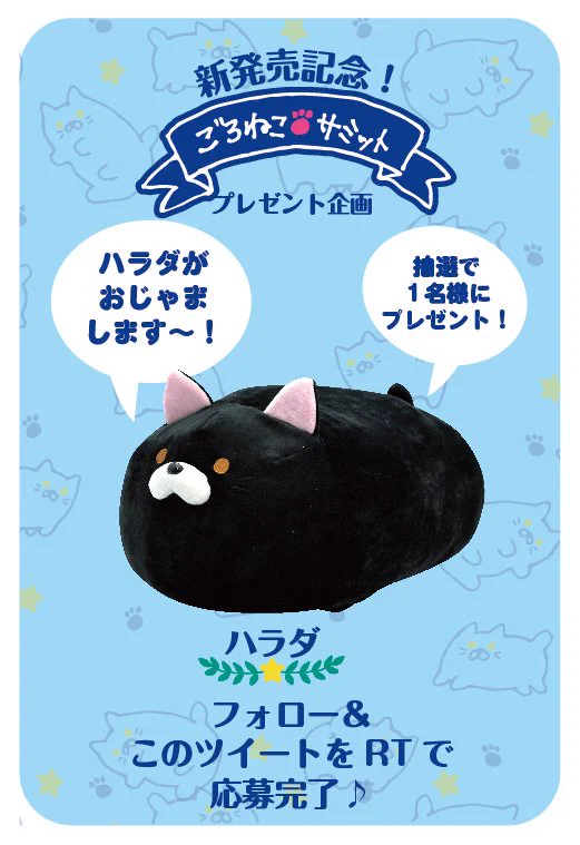 ごろねこサミット イトウ【公式】 on X: 