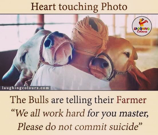 Ragh_Moorsal009's tweet image. #backboneofindia#heartbroken