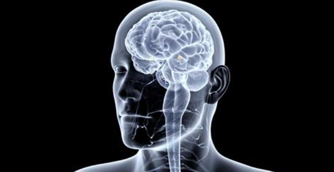 There is no such thing as a "female brain' or a "male brain." #ThroughTheWormole bit.ly/2ckSxqn