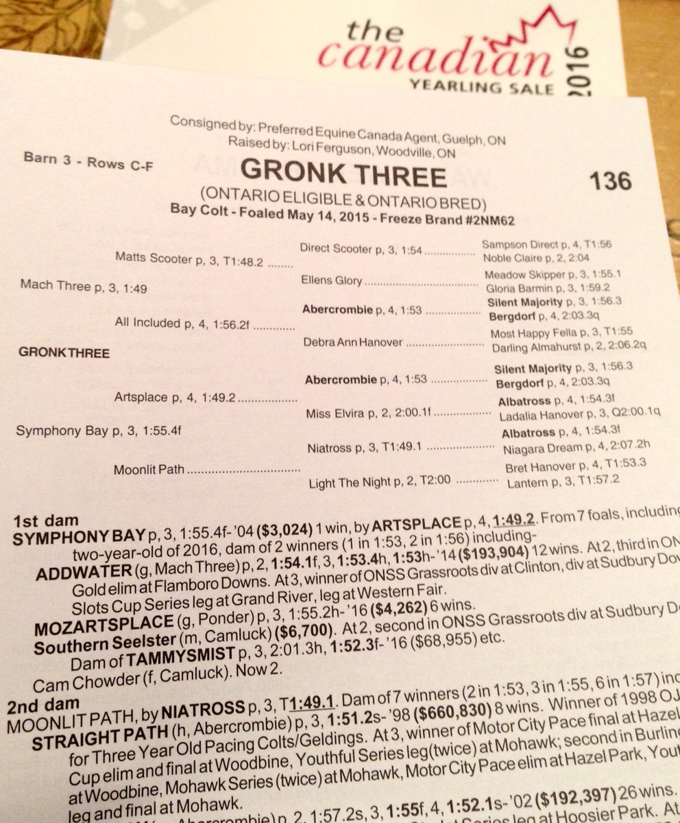 Mozartsplace's tweet photo. My little bro is in #CanadianYearlingSale on Sunday…he’s gonna be a monster! #HarnessRacing @RobGronkowski @Patriots https://t.co/AYaga6s4Lv