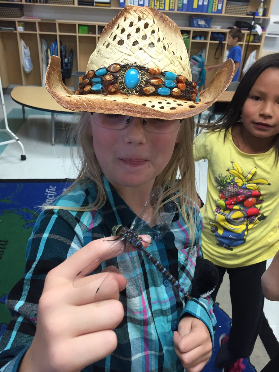 i_DanielleS's tweet image. How cool is this! #grade3fun