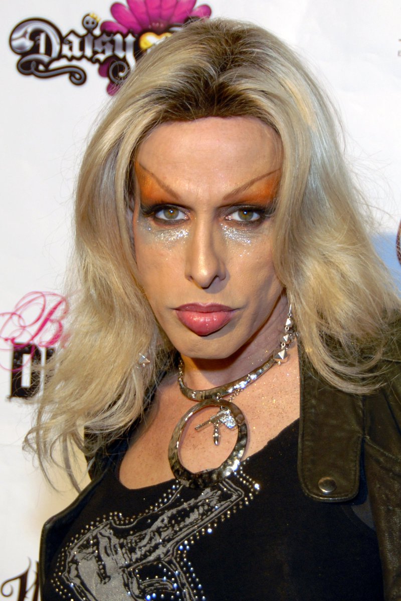 thegeek_factory's tweet photo. #AlexisArquette "Breaks Through The Veil" https://t.co/K9B6a8zjGi By @pixiewose https://t.co/qVWr1iWfIF