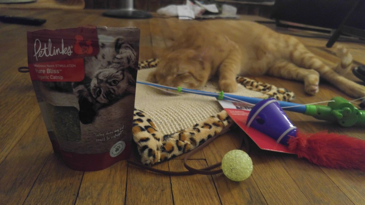 dougleclair's tweet image. If our cat had a cell phone he&apos;d be on @TMobile too. Thanks #TMobileTuesdays for the @PetSmart hookup #catnipaddict