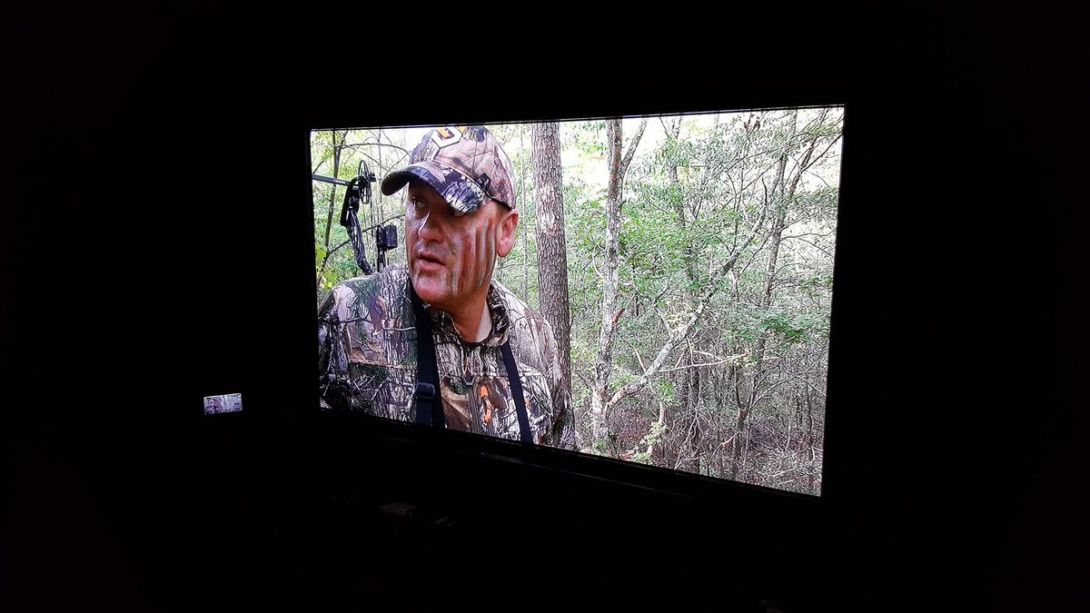 Team Havoc tweet media