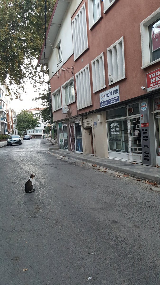 Günaydın. İlk fotoğraf birkaç gün önceydi. Anlam verememiştim. Meğer