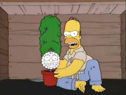 ArgenSimpson's tweet photo. -Papa eso es una planta!!.
-Lisa debes respetar a tu nueva madre .. dale un beso .. BESALAAAA !!! https://t.co/ziV6tGmoqo
