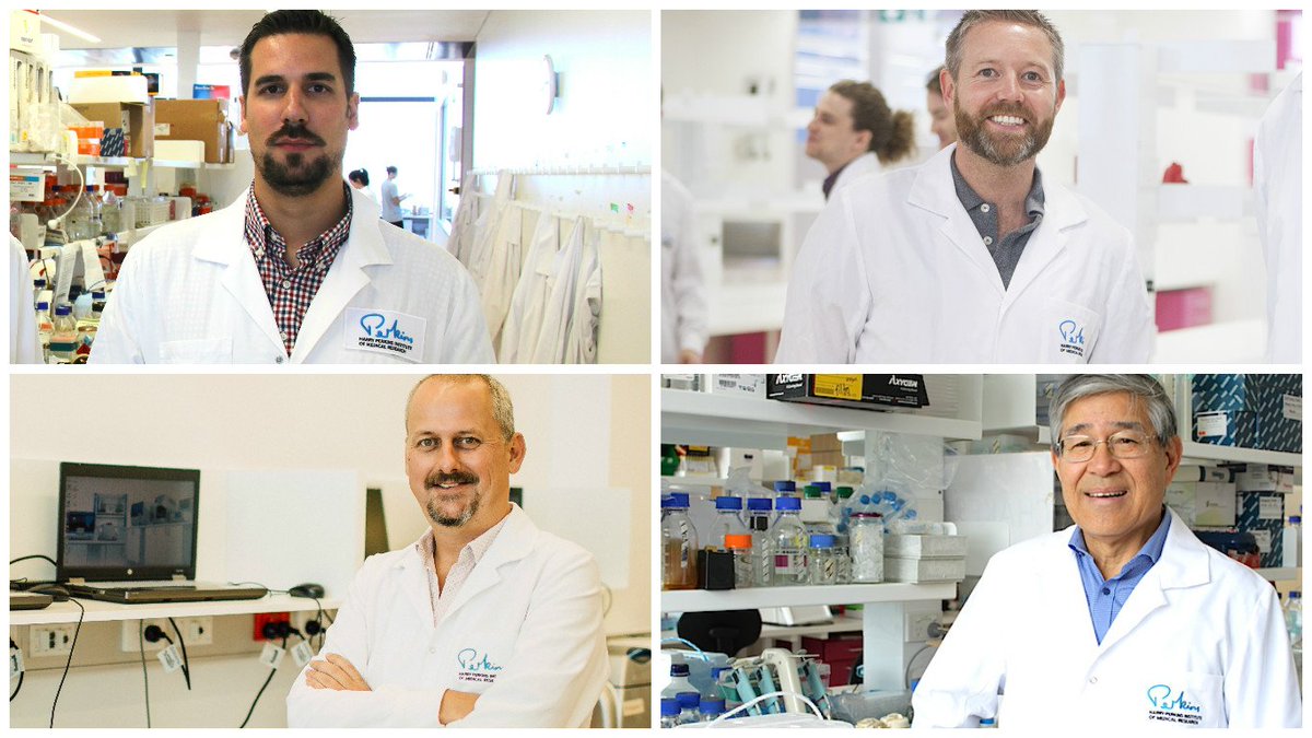 PerkinsComms's tweet photo. BIG congratulations to the @PerkinsComms scientists who won 2016 #UWA Vice Chancellors Awards. https://t.co/MNkAwg2BA9