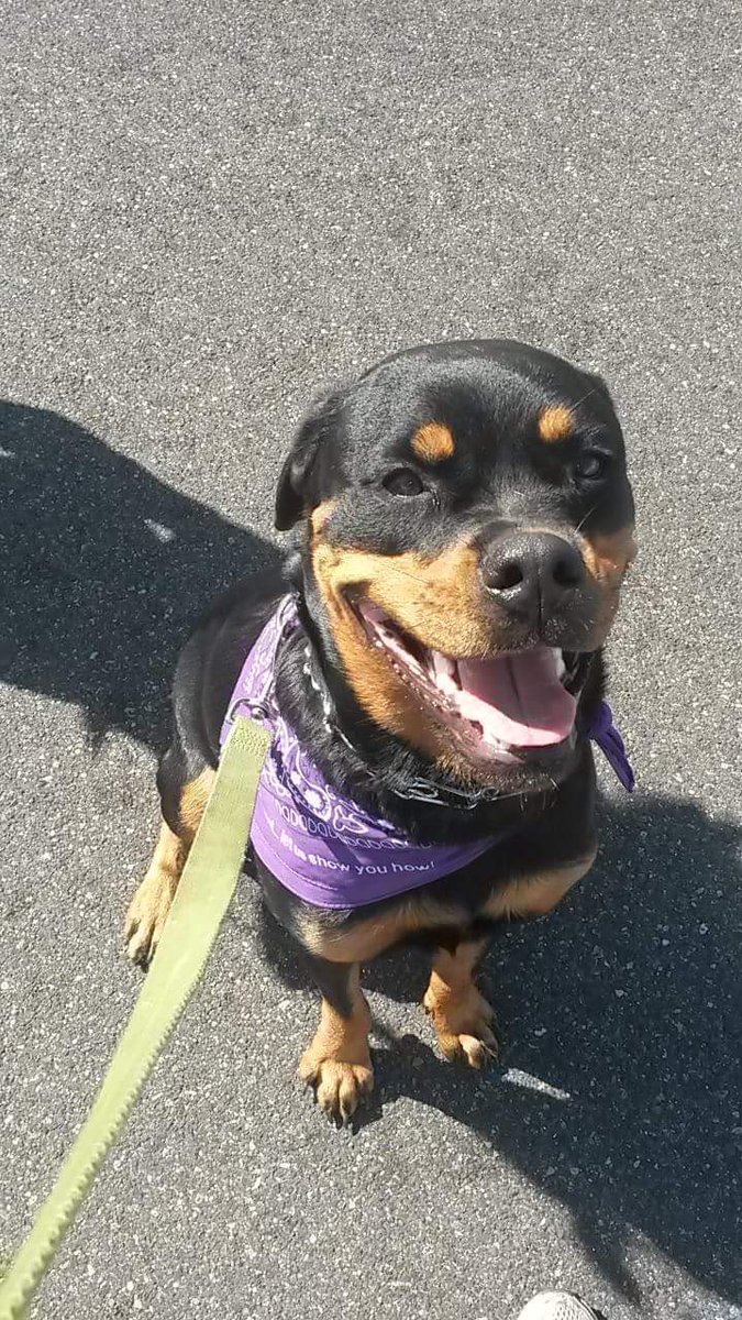 karabusick08's tweet photo. Ivy sporting her Walk day #FrontierCulture gear at the #PDX #Walk2EndAlz. #FrontierDifference https://t.co/3tZkrk3AhU