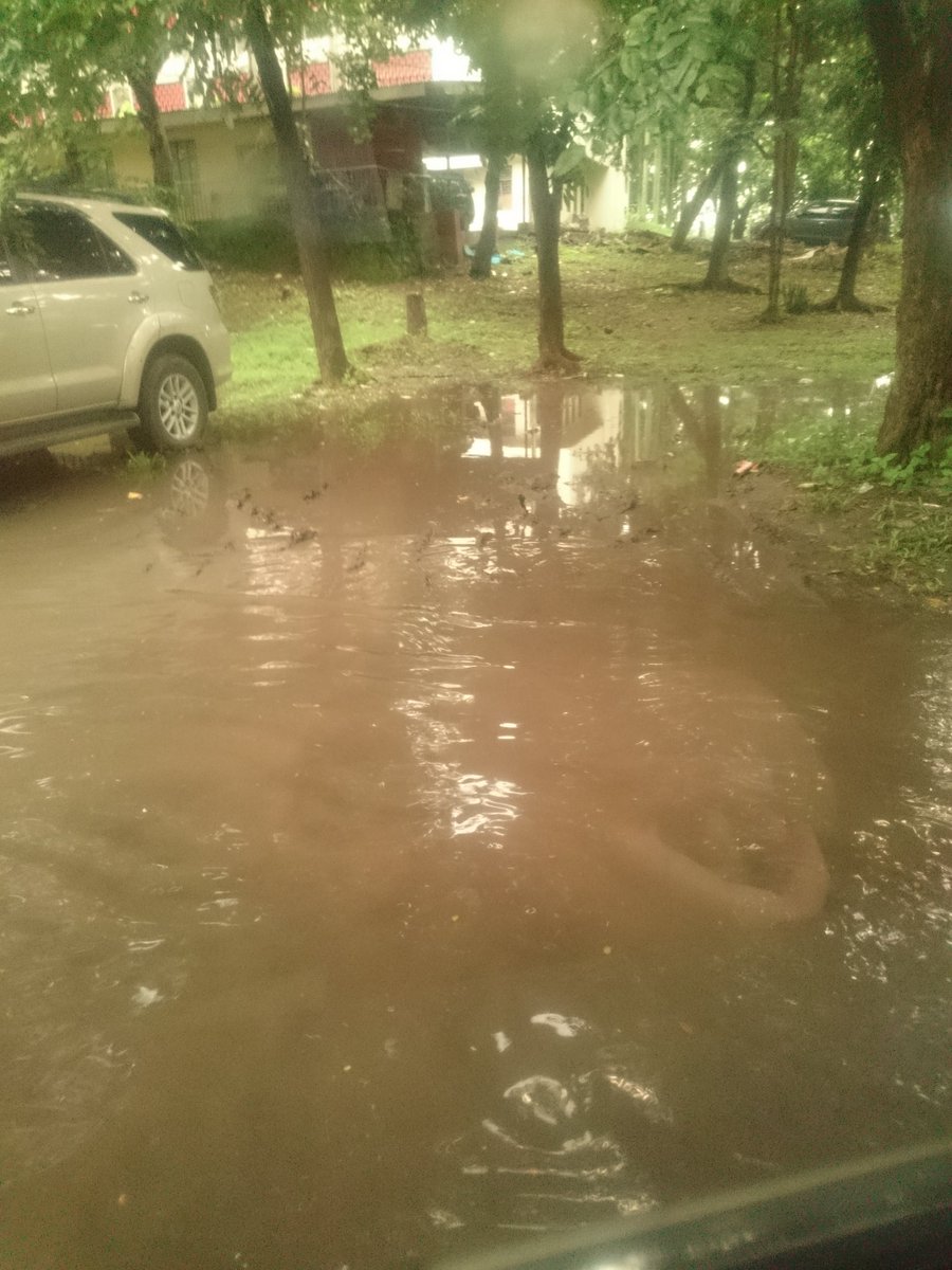 Hansidoodles's tweet photo. So that's what happens when it rains a lot.. #Whenindiliman https://t.co/IuHk608UdH