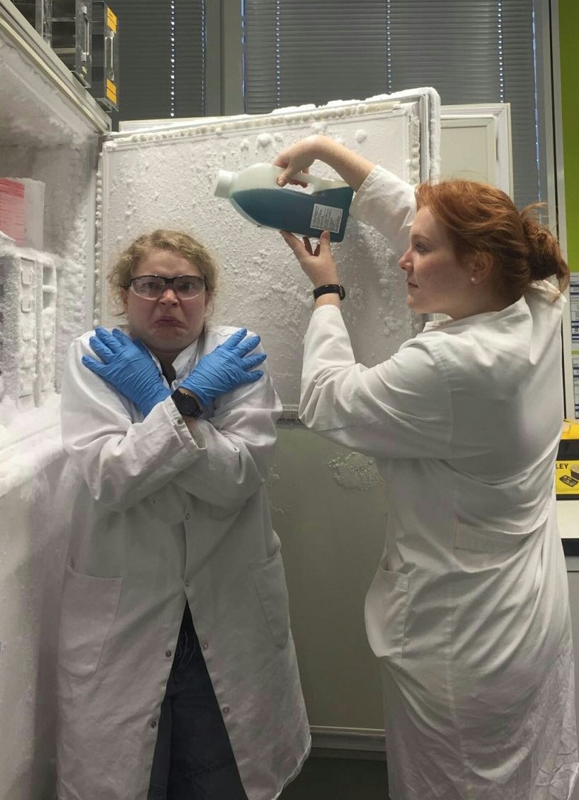 iGEMAachen's tweet photo. Starting to make Cryos of our team members, storing them for next year.
#planingfornextyear
#hopefullyitworks https://t.co/iAT9plVnsf