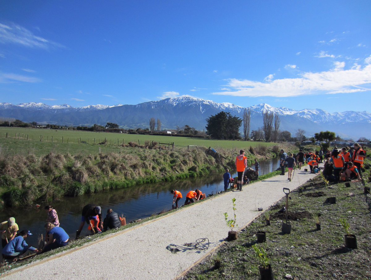 ECan's tweet photo. Today more than 100 #Kaikoura students planted 550 plants along the banks of Lyell Creek @Fonterra @DairyNZ https://t.co/uXWcWohiDI