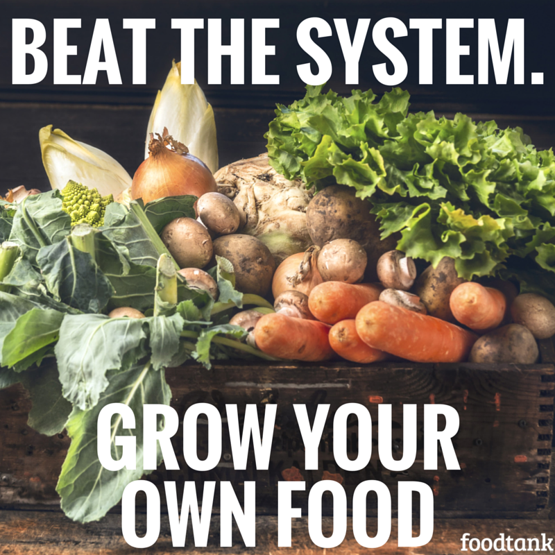 foodtank's tweet photo. Beat the system! Grow your own food. #FoodTank https://t.co/ZeQhsSBZ22 https://t.co/J3dLzIhfSt