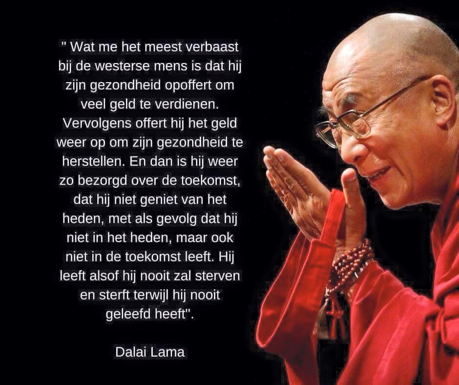 frangipanneken's tweet image. #DalaiLama #westersewereld #wijsheid