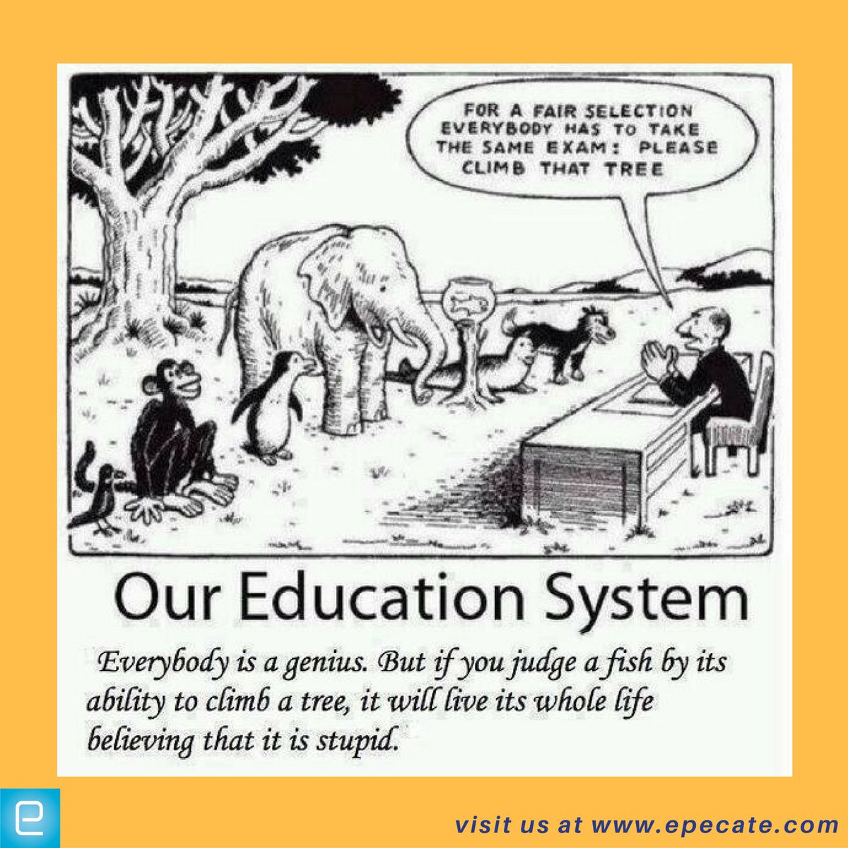 So true isn't it?
#epecate #learningsystem #examinationsystem