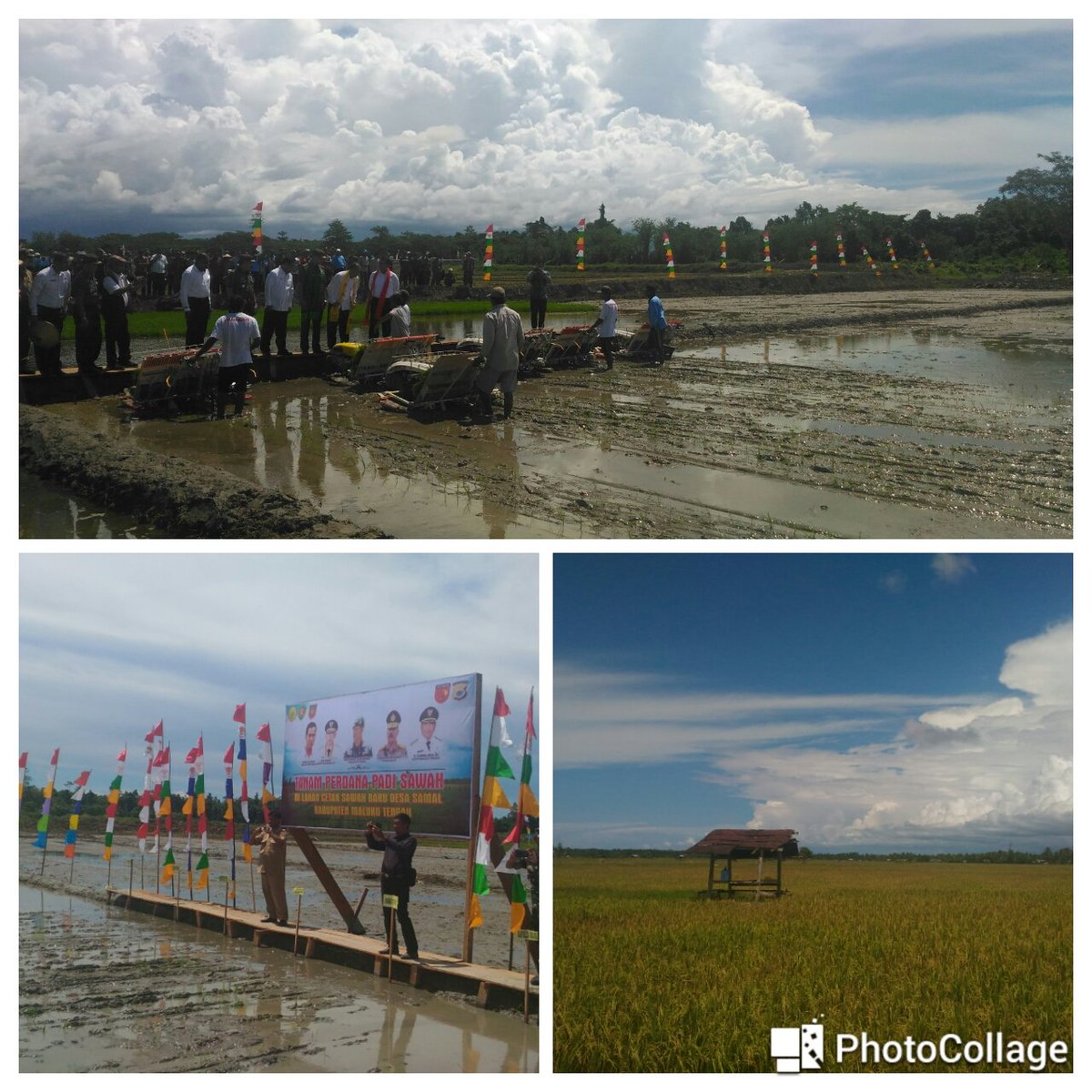 kementan tweet picture