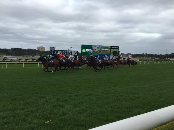 greenopt_racing's tweet photo. #GreenOptionsRacing #Backthewinner #Racecourses #Trackside https://t.co/4XHUyQp0hi