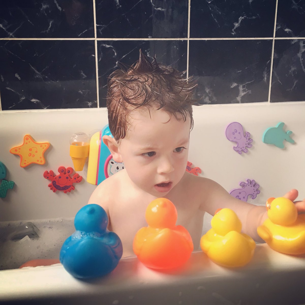haynesfamilyuk's tweet photo. Serious concentration at #bathtime ! Ducks need to be lined up exactly right!! #bathtimefun #bathtimefuntime https://t.co/rbBZEFEeew