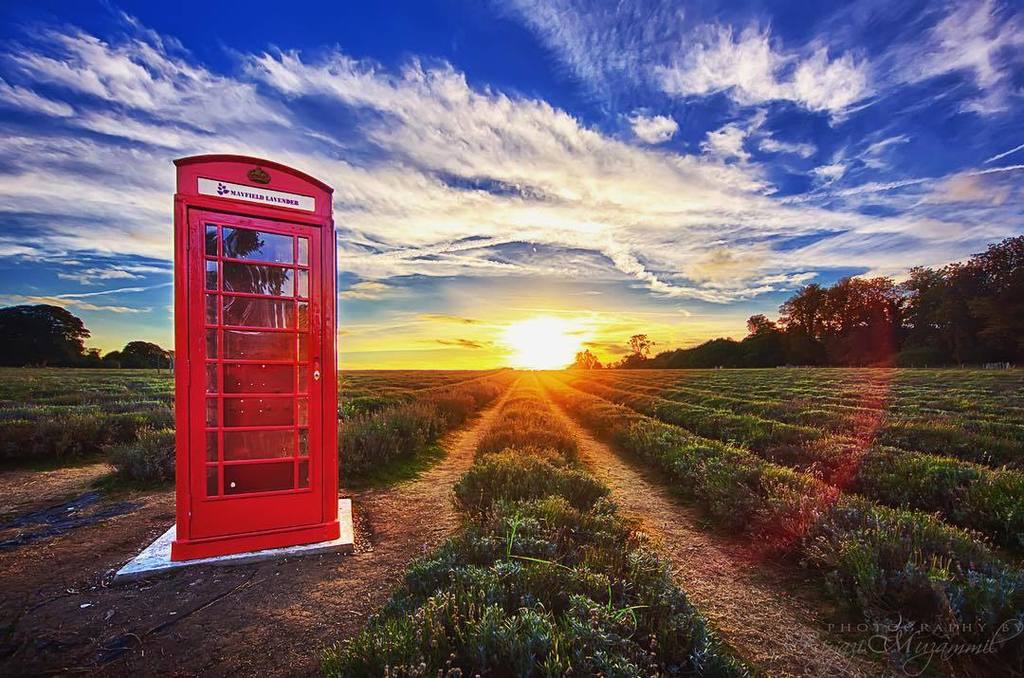 RiyaziM's tweet photo. Telephone Box https://t.co/IWYHD4O6XJ @mayfieldlavender @lavendersurrey
#lavender #mayfi⦠https://t.co/z96xweFNIu https://t.co/ro60znejFn
